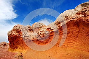 Amazing colors and shapes of sandstone formations in White Pocket, Arizona