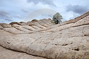 Amazing colors and shapes of sandstone formations in White Pocket, Arizona