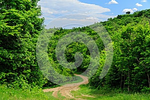 Amazing cozy trail, landscape natural view, sunny summer day