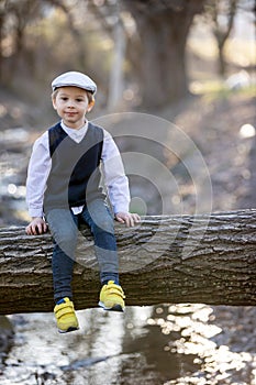Amazing creamy portrait of a beautiful stylish toddler child, boy, sitting on a big tree trunk over a small river, beautiful soft
