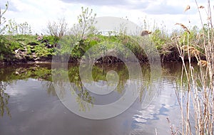 AMAZING DANUBE DELTA chanel VIEW. photo