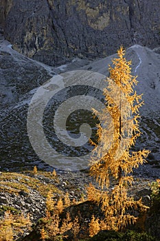 Amazing Dolomites near Santa Magdalena. Adolf Munkel Trail in Mountains of Northern Italy.