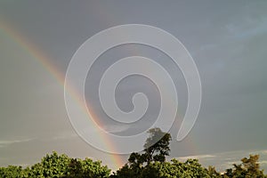 Amazing Double rainbow over tree tops in the evening sunlight