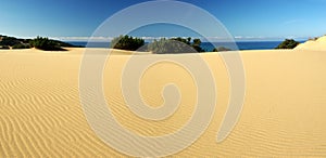 Amazing dunes at Piscinas Beach