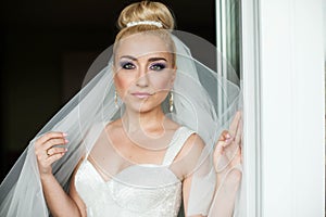 Amazing elegance cute stilysh blonde bride is posing on the bac