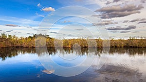 Amazing Everglades Panorama