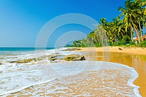 Amazing exotic sandy beach andhigh palm trees