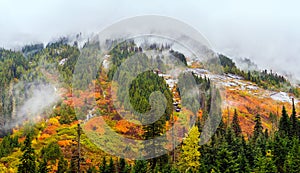 Amazing fall foliage in stormy weather at the Coquihalla Summit, British Columbia, Canada