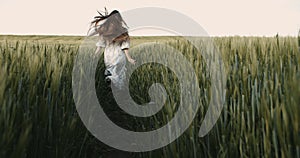 Amazing field landscape. Young slim beautiful woman running into the sunset. Summer evening time mood.