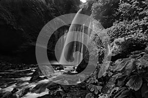 Amazing fine art black and white Tiu Kelep Waterfall near Rinjani, Senaru Lombok indonesia. Southeast Asia.