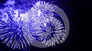 Amazing fireworks flowers on the night sky. Brightly blue fireworks on dark black color background. Holiday relax time with