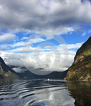 Amazing fjords in Norway