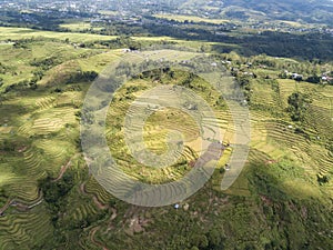Amazing Flores Aerial view of Golo Cador Rice Terrace photo