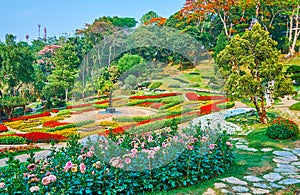 Amazing flower beds of Mae Fah Luang garden, Doi Tung, Thailand