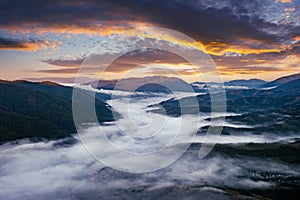 Amazing flowing morning fog in summer mountains