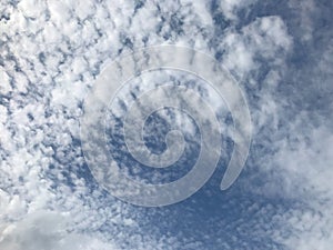 Amazing fluffy or floccus clouds look like cotton with bright blue sky