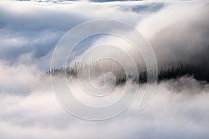 Amazing foggy autumn day. Landscape with high mountains. Forest of the pine trees. The early morning mist. Touristic place.
