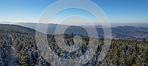 Amazing forest snow snowy trees landscape snowscape in black forest  Schwarzwald  winter, Germany panorama banner