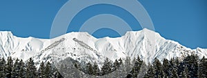Amazing forest snow snowy trees landscape snowscape in the mountains winter, Germany AllgÃ¤u panorama banner - Blue sky in the
