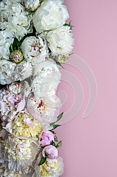 Amazing Fresh bunch of white and pink peonies