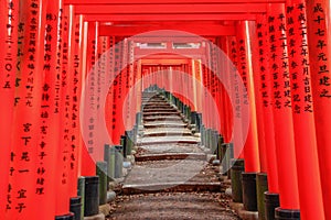 The amazing Fushimi Inari-taisha temple, Japan