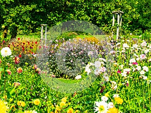 Amazing garden of many plants and flowers