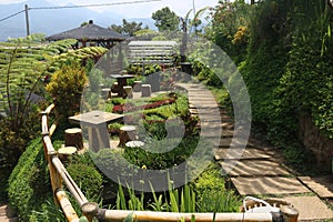Amazing garden at Pujon Kidul  Malang
