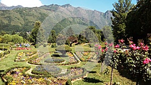 Amazing Garden Of Srinagar, Kashmir