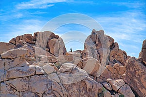 Amazing giant rocky formation in the sunny desert at Joshua Tree National Park