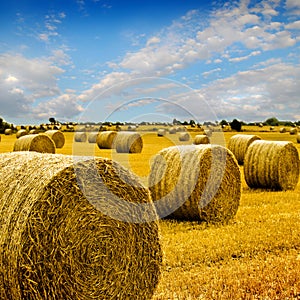 Amazing Golden Hay Bales