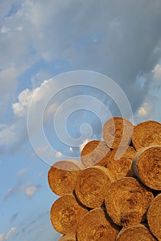 Amazing Golden Hay Bales