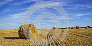 Amazing Golden Hay BalesÃ¯Â¼ÅWheat field