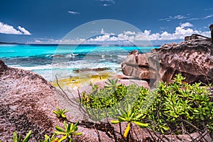 Amazing granite boulders in the jungle of Anse Source d`Argent on La Digue Island, Seychelles