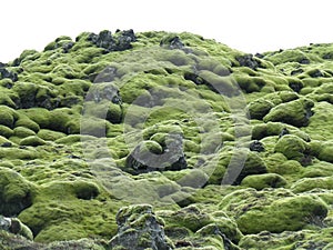 Amazing Green Mossy Lava Field in South Iceland, Background