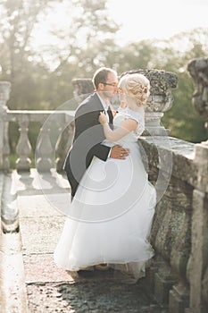 Amazing happy gentle stylish beautiful romantic caucasian couple on the background ancient baroque castle