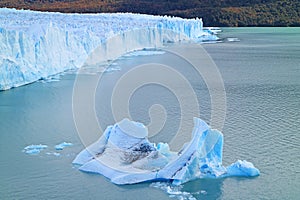 Amazing Ice Blue Color Perito Moreno Glacier and Floating Icebergs, Lake Argentino, El Calafate, Patagonia, Argentina