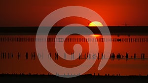 Amazing incredible red sunset with a huge round sun on a salt lake against the backdrop of silhouettes of windmills