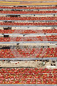 Amazing infinite arrangement surface of red dried tomatoes