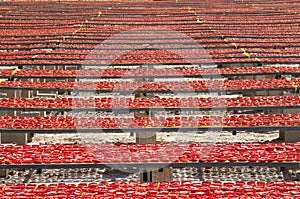 Amazing infinite arrangement surface of red dried tomatoes