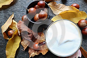 Amazing italian cappucinno in autumn style photo