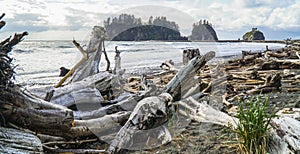 Amazing La Push Beach in the Quileute Indian reservation - FORKS - WASHINGTON