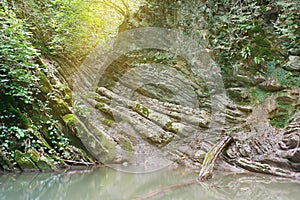 Amazing lake in the morning sunlight among southern jungle forests