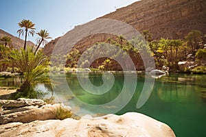 Amazing Lake and oasis with palm trees Wadi Bani Khalid in the desert