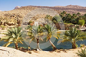 Amazing Lake and oasis with palm trees Wadi Bani Khalid in the desert photo
