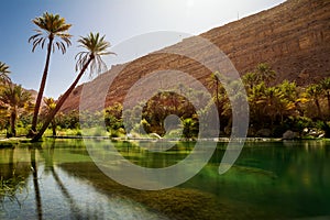 Amazing Lake and oasis with palm tree Wadi Bani Khalid photo