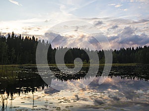 Amazing Lakeside View - Finland