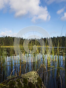 Amazing Lakeside View - Finland