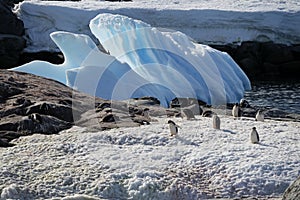 The amazing landcape of Antarctica