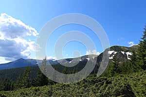 Amazing landscape of Appenine mountains with fir trees and conifer nature.