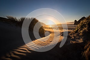 Amazing landscape of beach accessed through walk bushes and sand dune